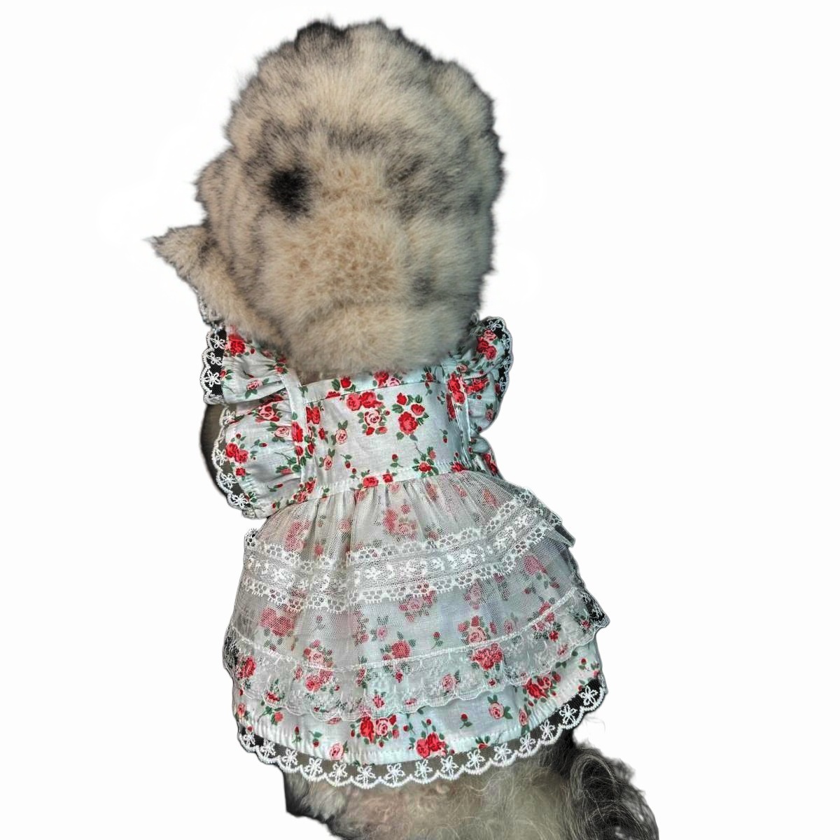 Floral Dog Dress with Lace Ruffles And Red Rose Pattern